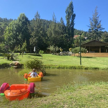 فيلا Quinta Da Vinha Do Souto اروكا المظهر الخارجي الصورة