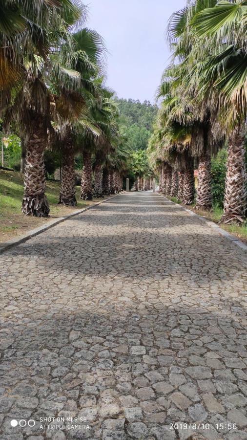 فيلا Quinta Da Vinha Do Souto اروكا المظهر الخارجي الصورة